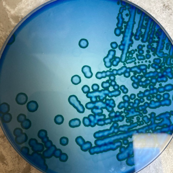 4 Blue Glass “molecular” coaster - Picture 2 of 3